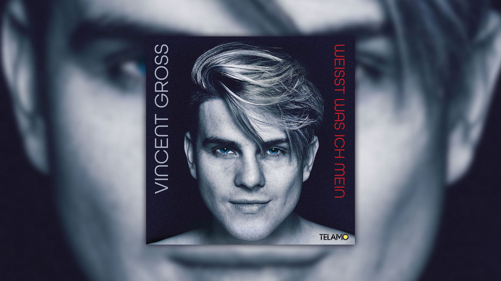 Vincent Gross "Weisst was ich mein"