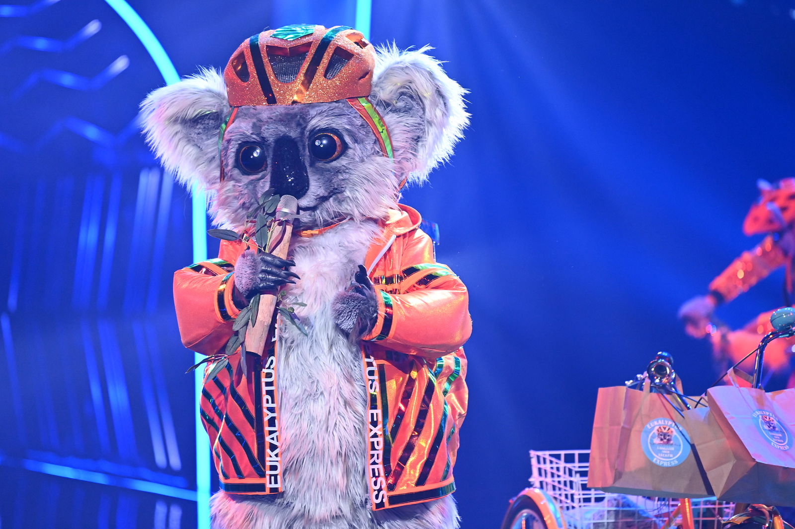 The Masked Singer 2022: Der Koala