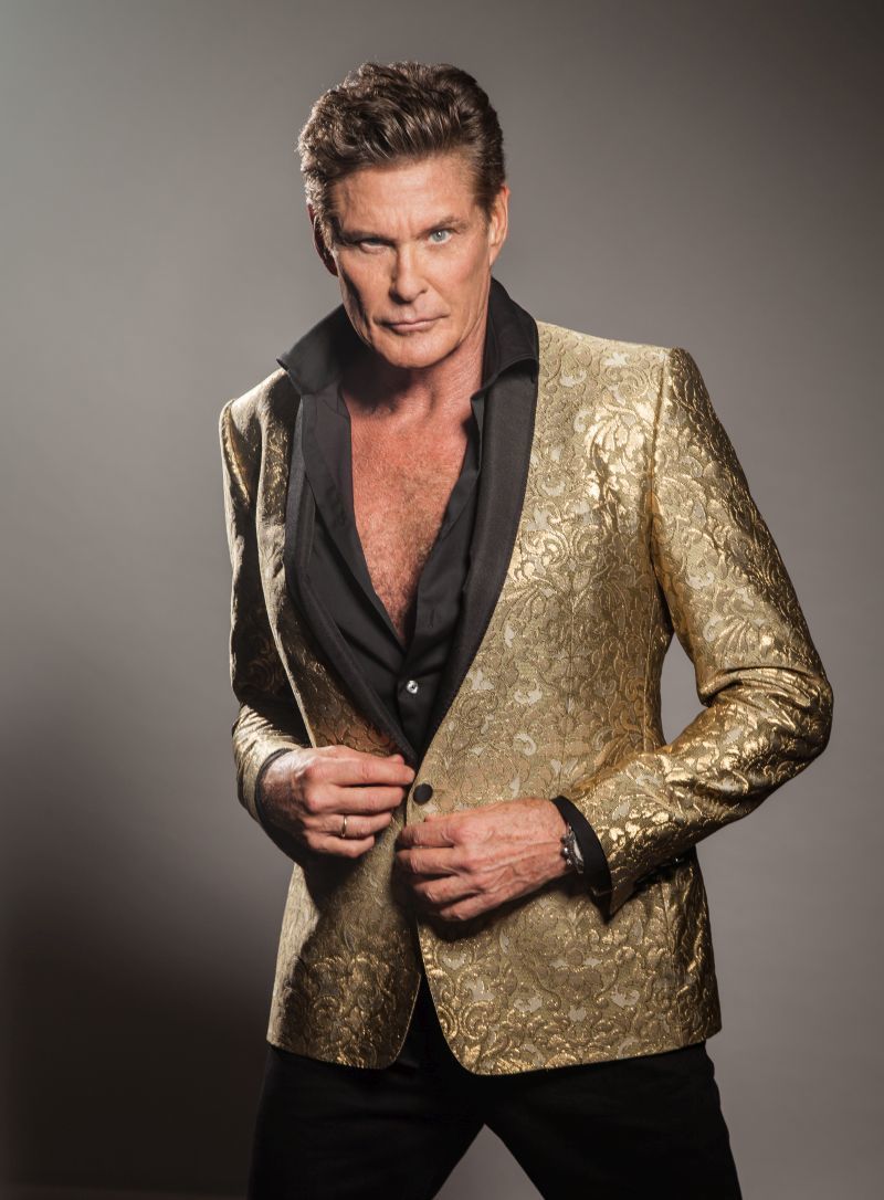 David Hasselhoff 800x1000