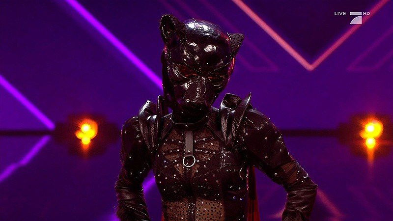 The Masked Singer Panther 800x450