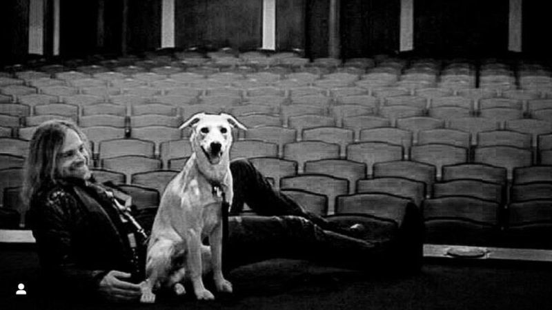 Münchener Freiheit 800x450